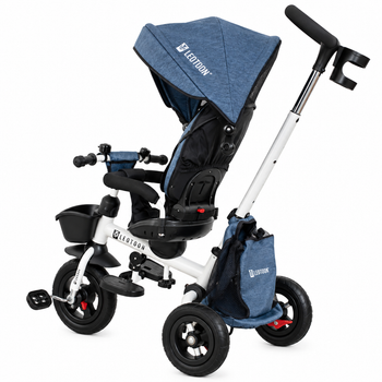 Mini Rider Trike