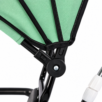 4-in-1 Trot N Roll Tricycle with Sunshade